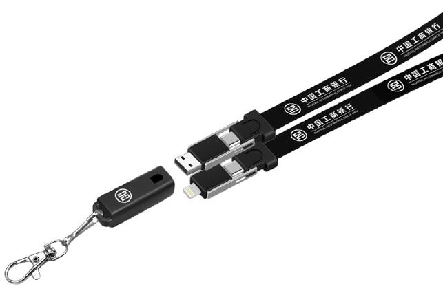 6 in 1 lanyard Charging Cable